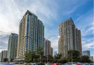 网站建设流程asp网站建设